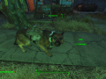 Fallout4 2015-11-29 14-57-12-71.png